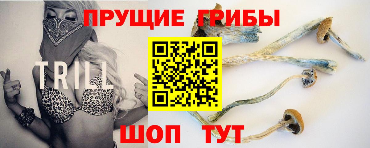 Галлюциногенные грибы Magic Shrooms  Вход с VPN  Вышний Волочёк 